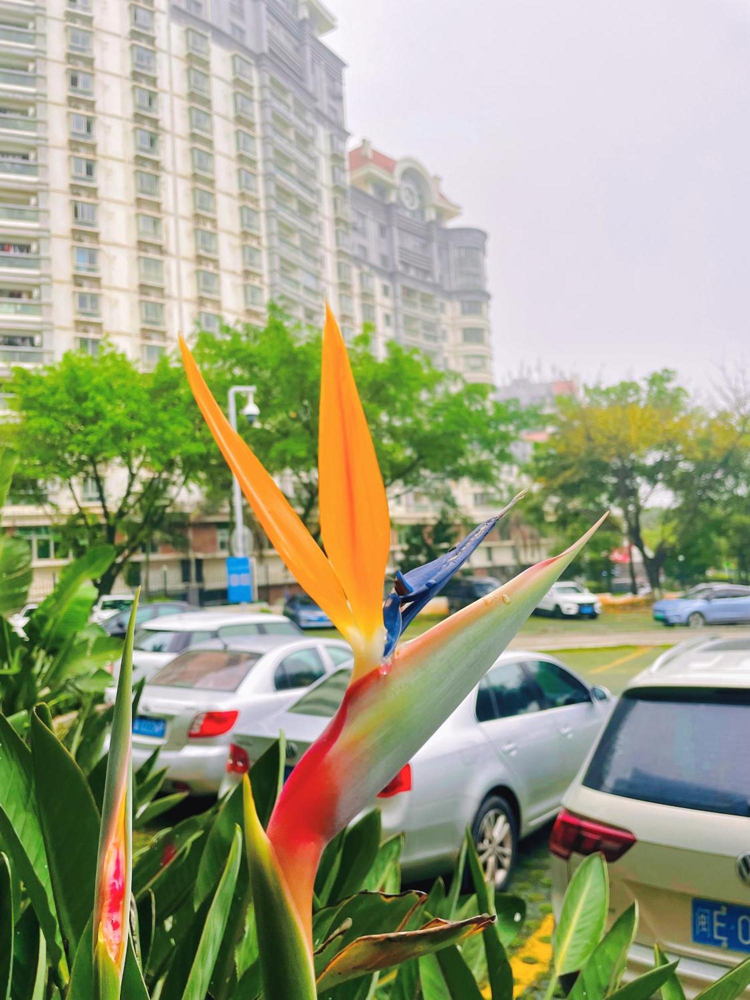 เซียเหมิน เซียกัน ยี่หาว โฮเต็ล Hotel เซียะเหมิน ภายนอก รูปภาพ